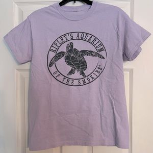 Ripley’s Aquarium of The Smokies Tennessee Gatlinburg Pigeon Forge sea turtle